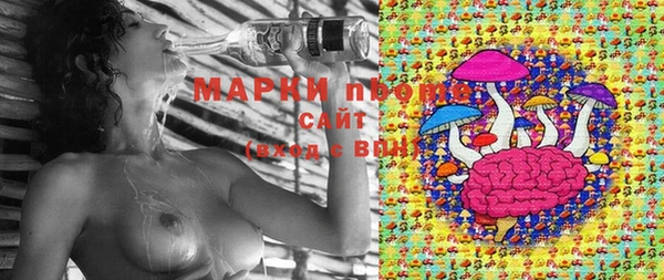 стафф Инсар
