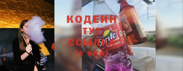 мет Инта