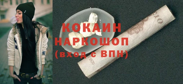 мет Инта