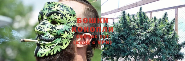 стафф Инсар