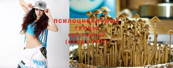 мет Инта